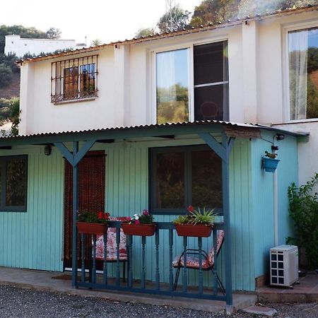 Vegan Guesthouse Finca Pereila Coín Εξωτερικό φωτογραφία