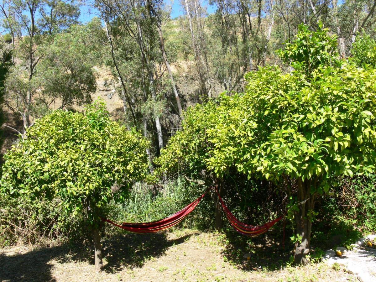 Vegan Guesthouse Finca Pereila Coín Εξωτερικό φωτογραφία