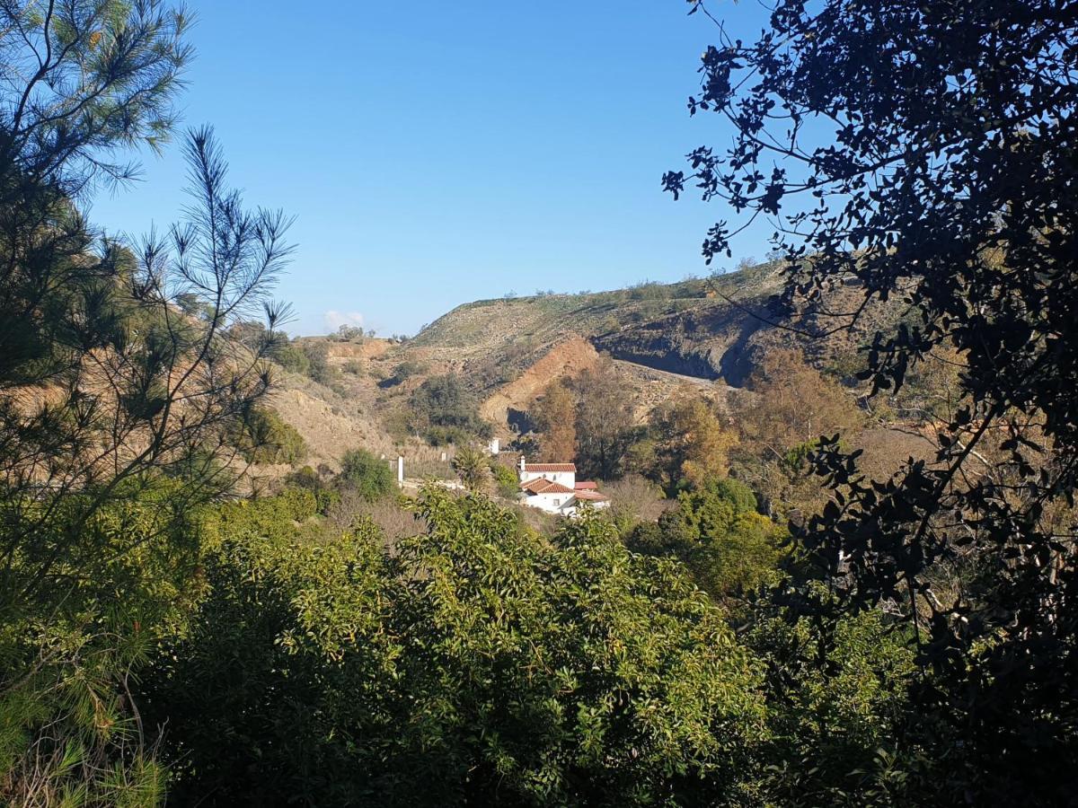 Vegan Guesthouse Finca Pereila Coín Εξωτερικό φωτογραφία