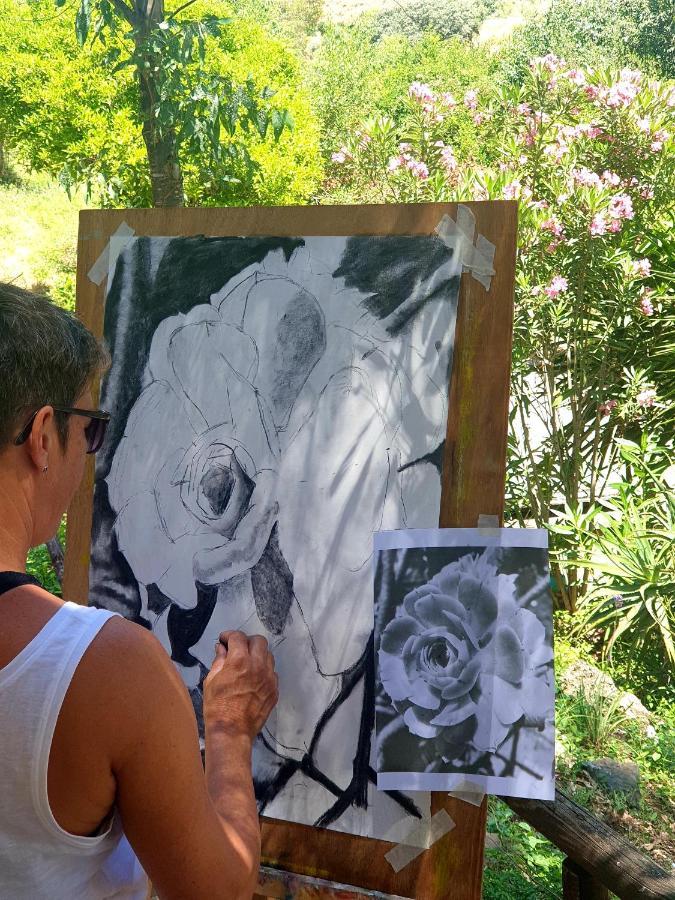 Vegan Guesthouse Finca Pereila Coín Εξωτερικό φωτογραφία