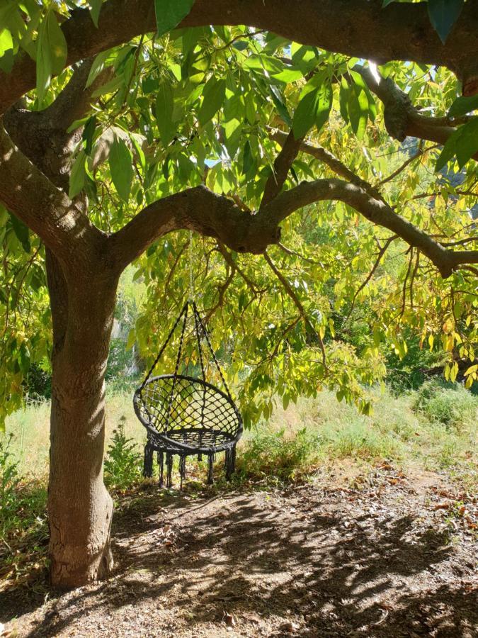 Vegan Guesthouse Finca Pereila Coín Εξωτερικό φωτογραφία